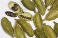 green cardamom